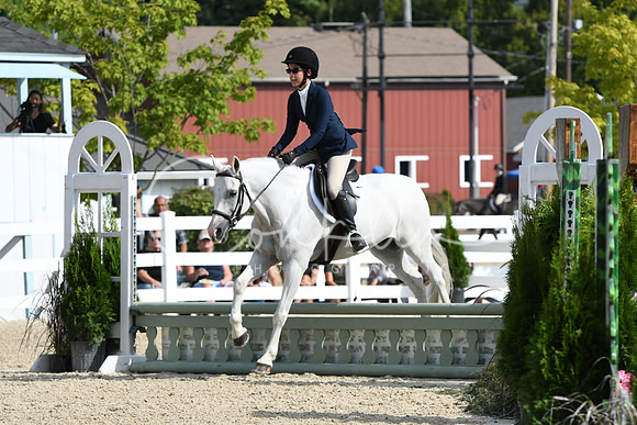 HSM_6011