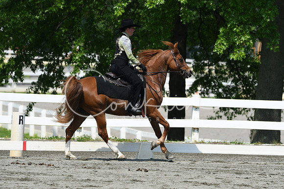 HSM_2807