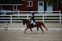 BW185920