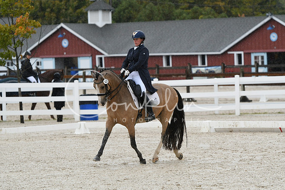 HSM_0278