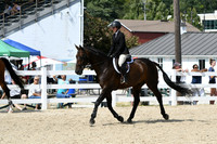 HSM_9291