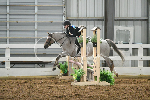 HSM_4623