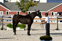 HSM_5544