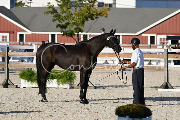 HSM_5544