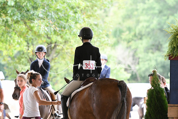 HSM_1241