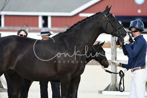 HSM_5311