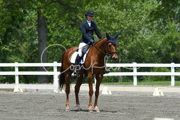 HSM_0253