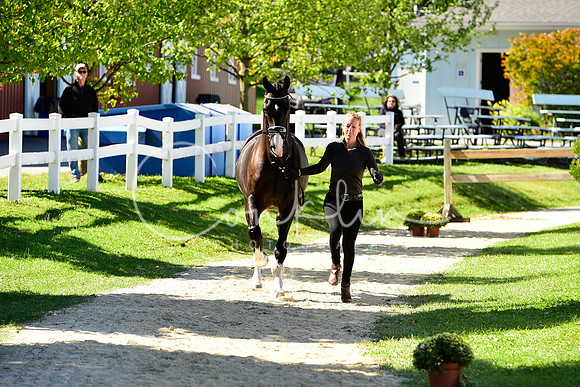 _MDS4019