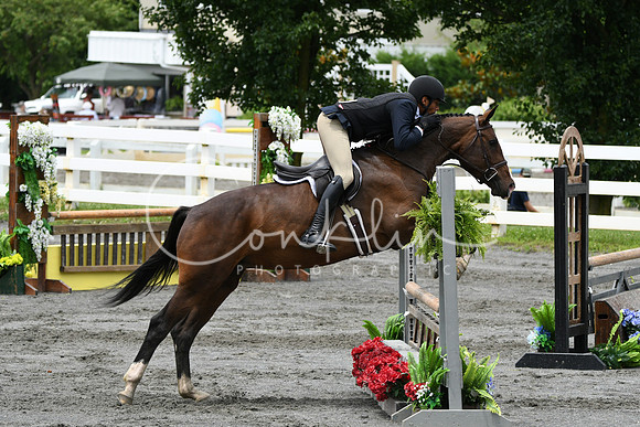 HSM_4161