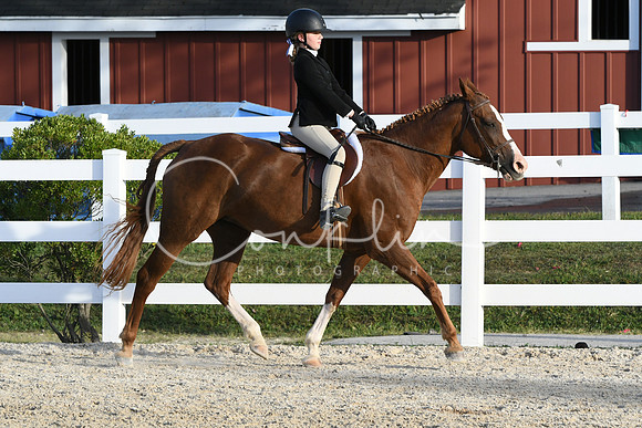 HSM_4563