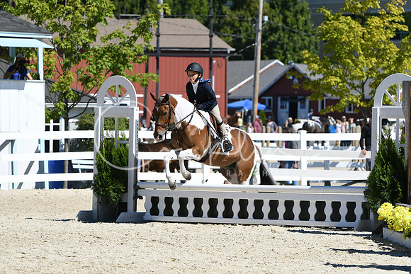 HSM_2796