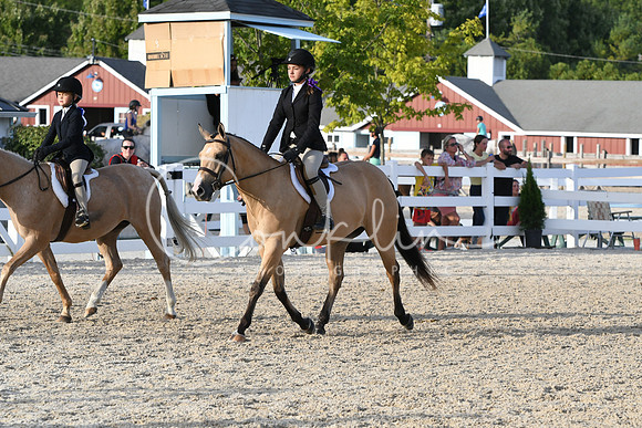 HSM_4536