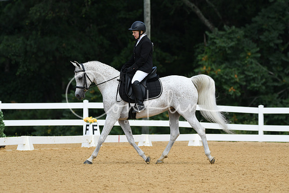 HSM_1106