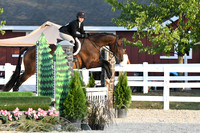 HSM_0272