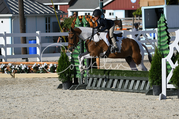 HSM_4289