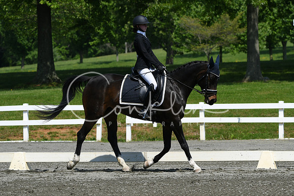 HSM_2286