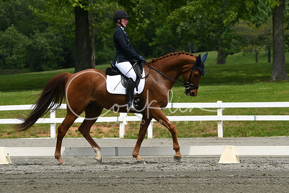 HSM_0585
