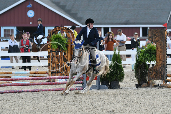 HSM_0954
