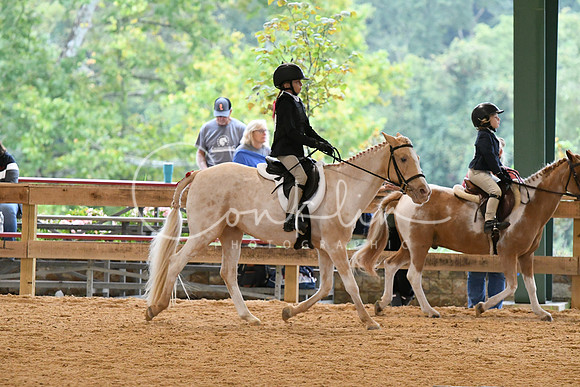 HSM_4783