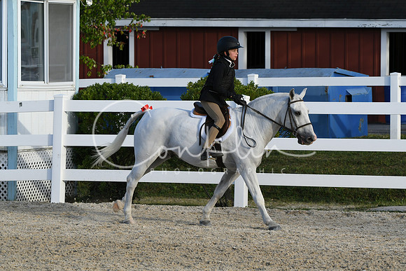 HSM_4597