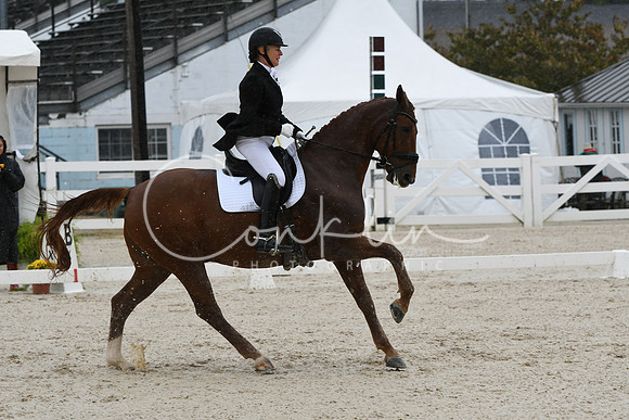 HSM_0377