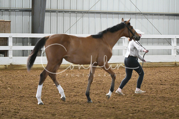 HSM_3632