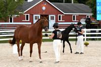 HSM_6315