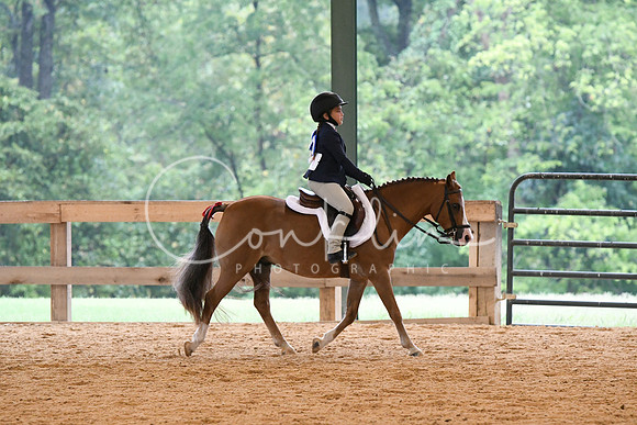 HSM_4274