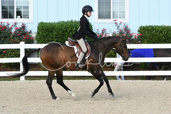 HSM_5571