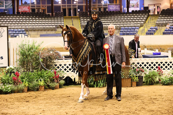 RJC33062