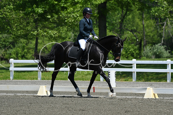 HSM_1808