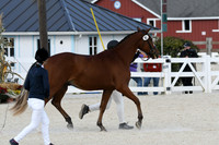 HSM_5348