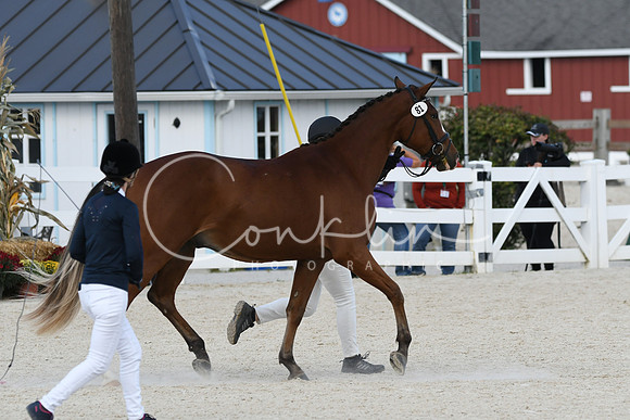 HSM_5348