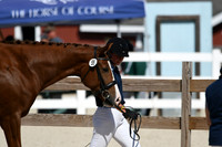 HSM_4963