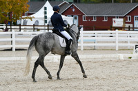 HSM_0595