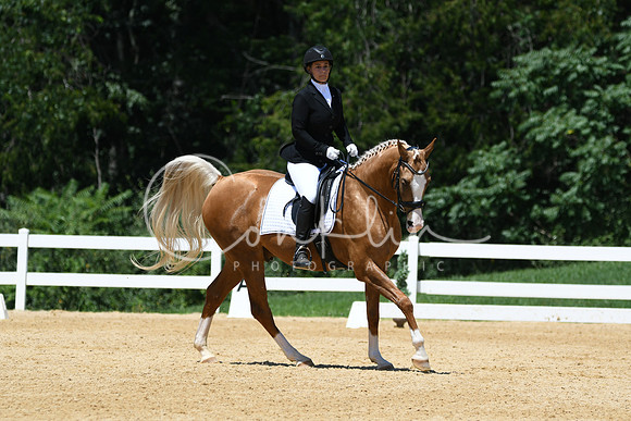 HSM_1385