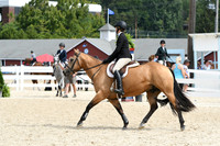 HSM_8650