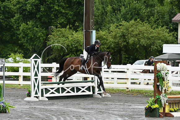 HSM_3619