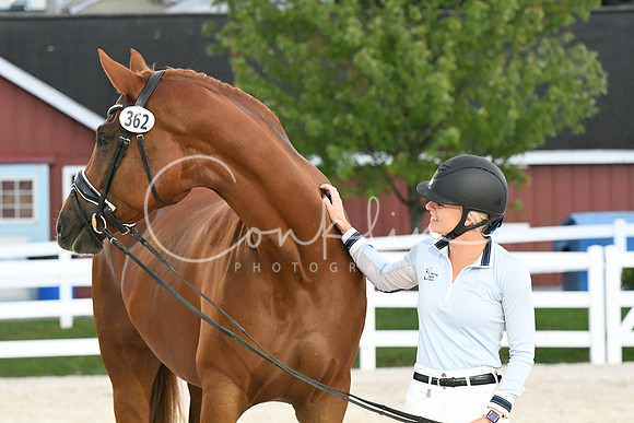 HSM_6419
