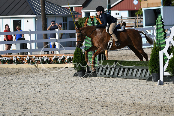 HSM_4370