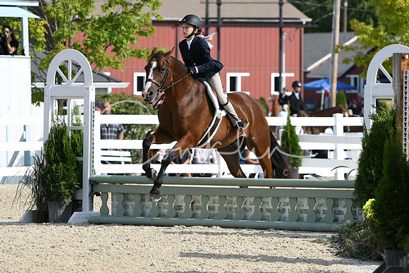 HSM_5977