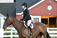 HSM_0498