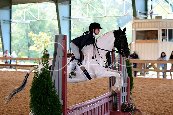 HSM_1005-1