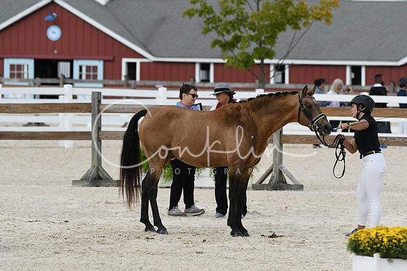 HSM_5395
