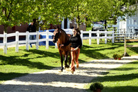_MDS3809