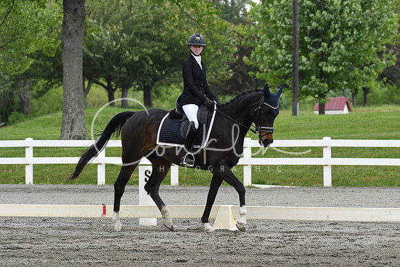 HSM_0662