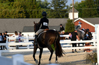 HSM_0259