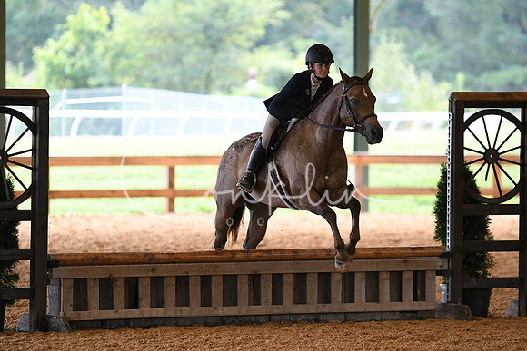 HSM_1031