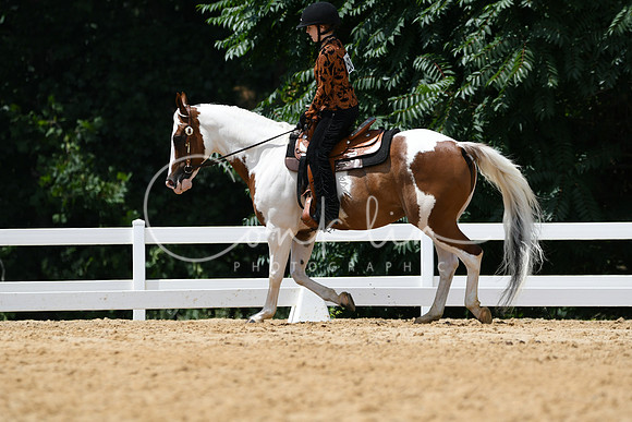 HSM_0608