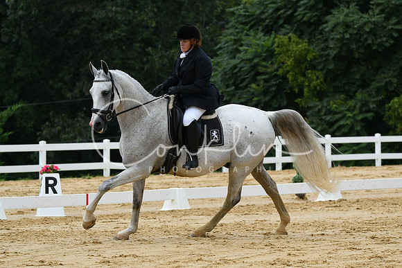 HSM_0395